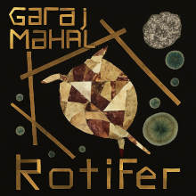 CD graphic